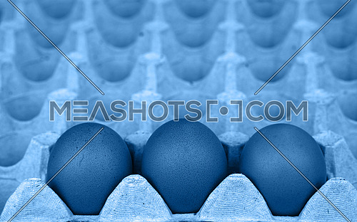Close up many fresh blue toned chicken eggs in tray carton at retail display of farmers market, high angle view perspective