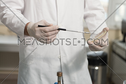 Close Up Of Female Scientist Hands Making Tests In Laboratory