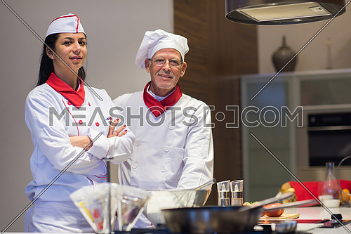 portrait of an elderly middle east chefs and young cooks in the kitchen