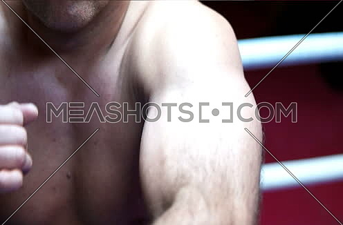 Portrait of boxer preparing for fight