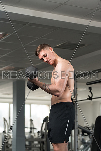 Young Athlete Working Out Biceps In A Gym - Dumbbell Concentration Curls