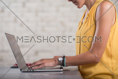Young informal Middle Eastern businesswoman working on laptop in a modern office