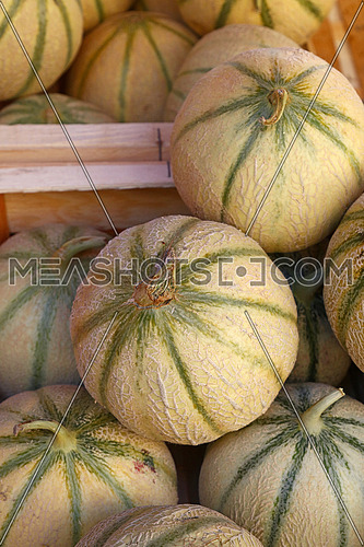 Close up whole fresh ripe summer cantaloupe melons on retail display of farmers market, high angle view
