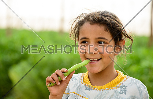 A girl eating raw broad beans in a farm