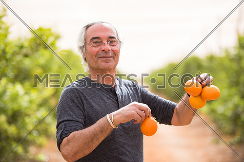 older middle eastern man with oranges in his hands on the farm of orange