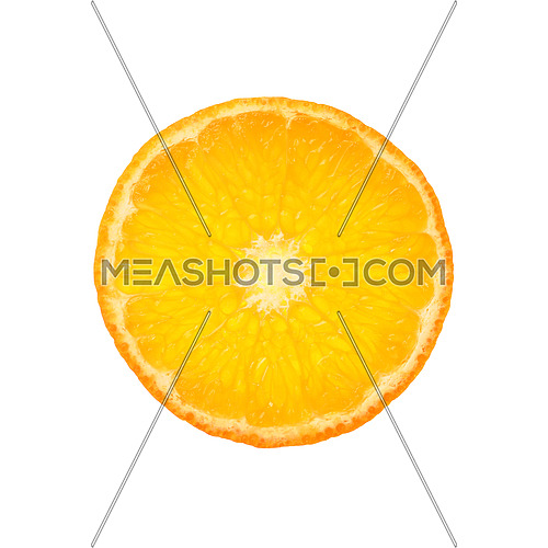 Close up one round thin cut slice of fresh tangerine orange, backlit and isolated on white background