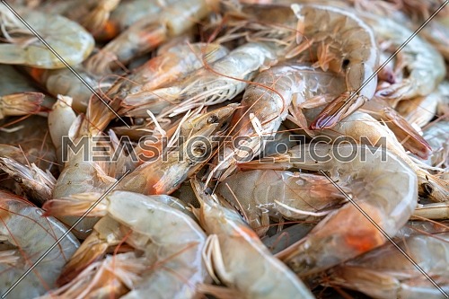 frozen tropical shrimp on head at the seafood market