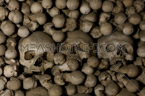 Close up of old human skulls and bones in ossuary, low angle view