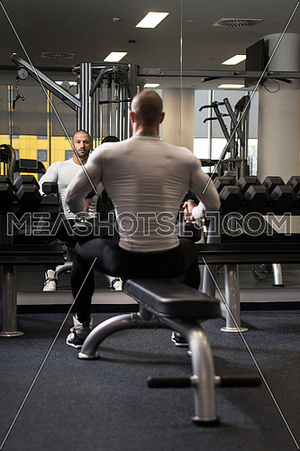 Young Healthy Man Working Out Biceps - Dumbbell Concentration Curls