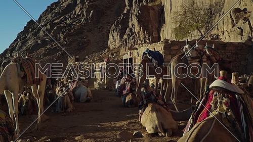 Long shot for camels rest area in Sinai Mountain at day.