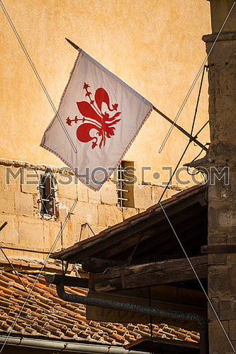 In the picture the flag of Florence, with the middle of it the symbol of the city of Florence \