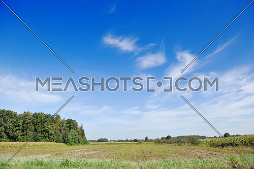 countrysice nature landscape with blue sky and green meadow