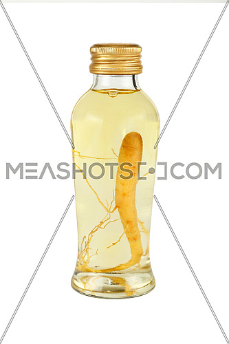 Close up of one glass jar bottle of ginseng root essence extraction liquor with golden cap, isolated on white background, low angle side view