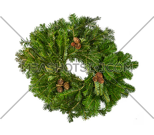 Close up one fresh green spruce tree Christmas wreath decoration isolated on white background