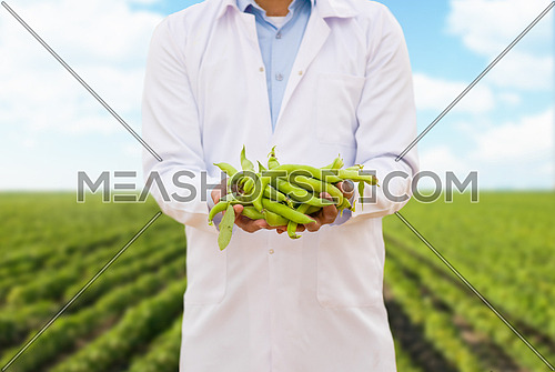 portrait of a young middle eastern man on a large modern farm of vegetables