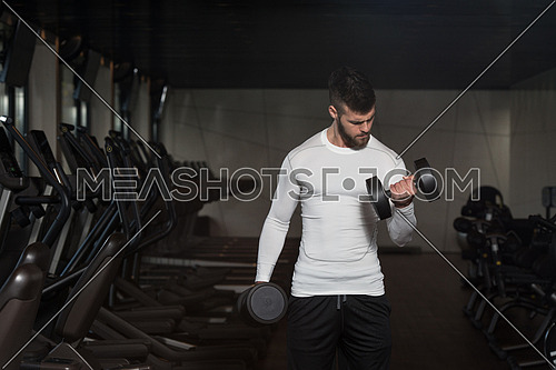 Young Man Exercise Biceps With Dumbbells - Dumbbell Concentration Curls