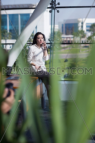 young female executive talking on the phone in a modern office