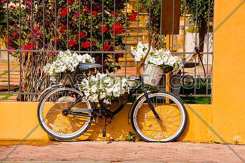 An abandoned bicycle on the side of the road with white flowers on it