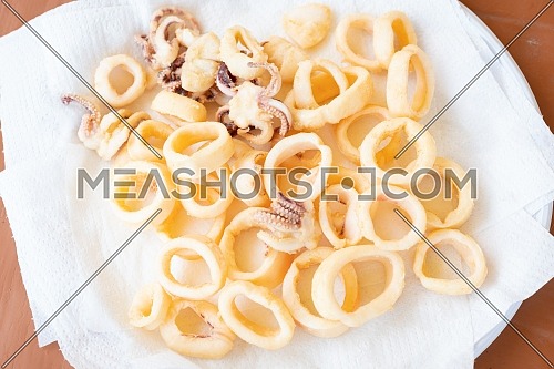 fried squids or octopus (calamari) isolated on white background