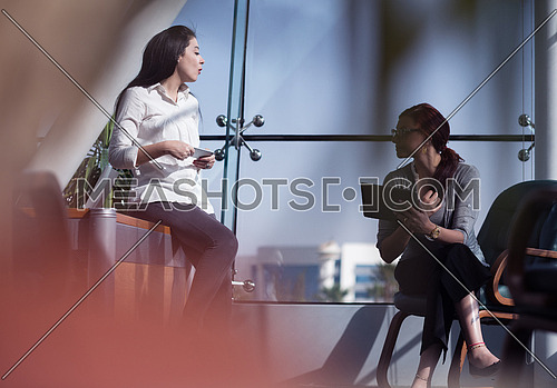 young female executives having a meeting in a bright modern office