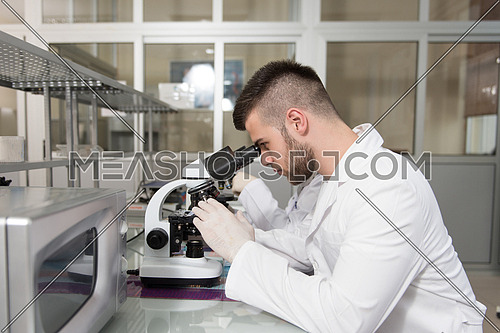 Group Of Scientists Conducting Research In A Lab Environment Looking Into A Microscope