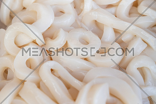 Fresh raw squid rings at seafood market