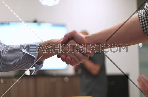  businesswoman in casual clothing shaking hand of partner 