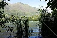 Tranquil lakeside scene in the mountains with water grass moved by water in the foreground