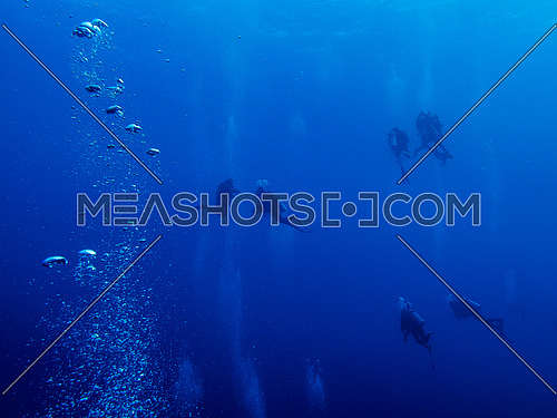 Divers under the deep blue water in the red sea Egypt