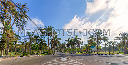 Panoramic view of asphalt road framed by trees and palm trees with partly cloudy sky in a summer day, Montaza public park, Alexandria, Egypt