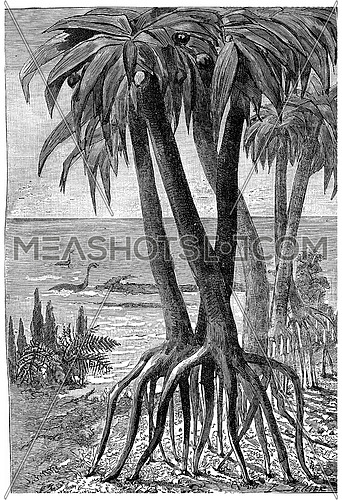 At the edge of the sea during the Jurassic period, vintage engraved illustration. Earth before man â 1886.