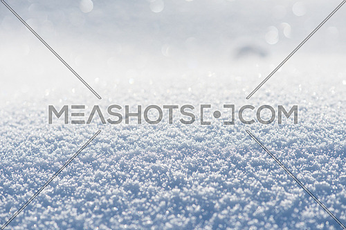 abstract winter snow christmas  background  at sunny day with copy space