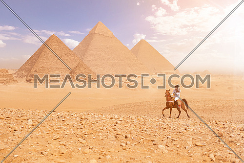 young Egyptian man horse rearing in desert giza platue with the pyramids in background