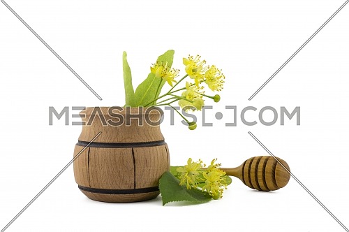 Small wooden pot of freshly picked yellow linden flowers and leaves, also called tilia and wooden wand over a white background