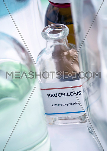 Test brucellosis in laboratory, conceptual image, horizontal composition