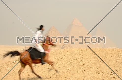 horse running in pyramids giza