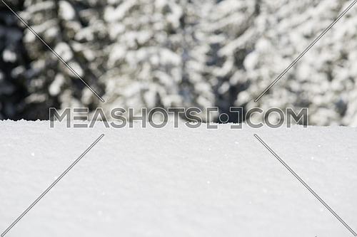 fresh snow close up background in winter forest landscape nature in sunny morning