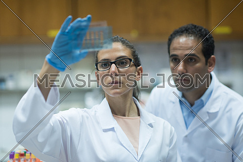Young middle eastern people enjoy while doing research in a large modern laboratories