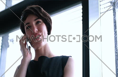Business Girl Standing In A Modern Building Near The Window With Phone