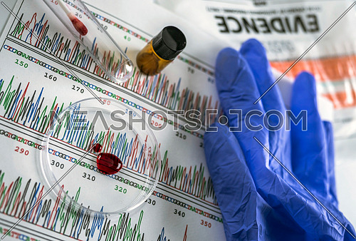 blood sample disk petri in search of DNA test, conceptual image