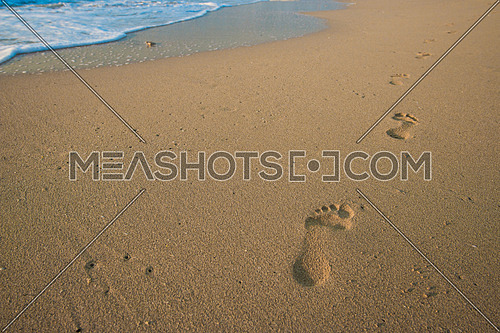 foot prints on the sand at the sea shore