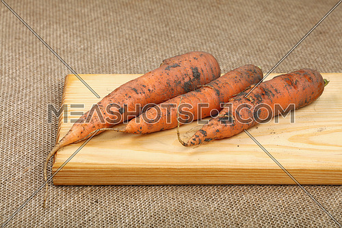 Three fresh raw dirty carrots with ground at rustic wooden chopping cutting board on canvas, close up, high angle view