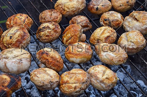 White champignons portobello mushrooms being cooked on char grill