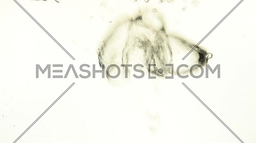 Extreme close up abstract background of air bubbles of hot boiling water emerging underwater over white background, low angle side view, slow motion
