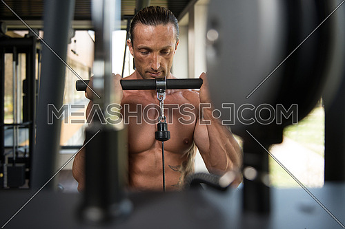 Muscular Mature Man Bodybuilder Doing Heavy Weight Exercise For Biceps