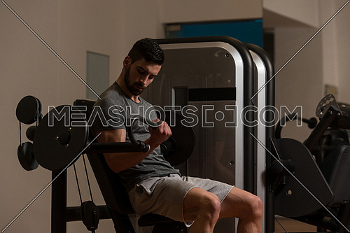 Young Muscular Fitness Bodybuilder Doing Heavy Weight Exercise For Biceps On Machine In The Gym