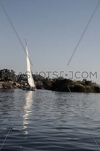Long Shot for a Sailboat in the River Nile and a green trees in the background at day - Aswan - Egypt