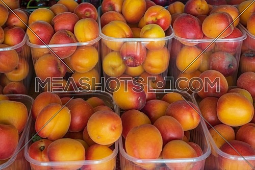 A lot of fresh ripe Apricot in basket for sell in the street shop.