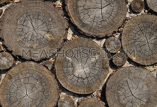 Close up background of several old weathered gray and brown tree trunk cross sections with wood splits and annual rings pattern, elevated top view, directly above