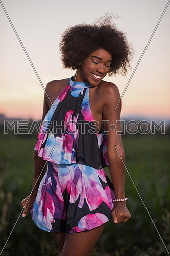 portrait of a young beautiful African American women on a warm summer evening in summer dress with a smile on her face
